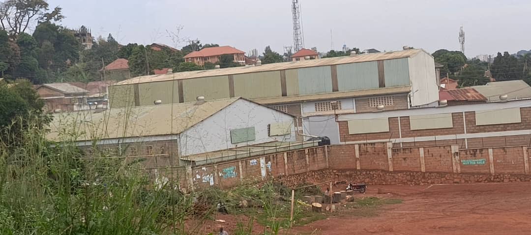 WhatsApp-Image-2026-03-12-at-1.01.54-PM