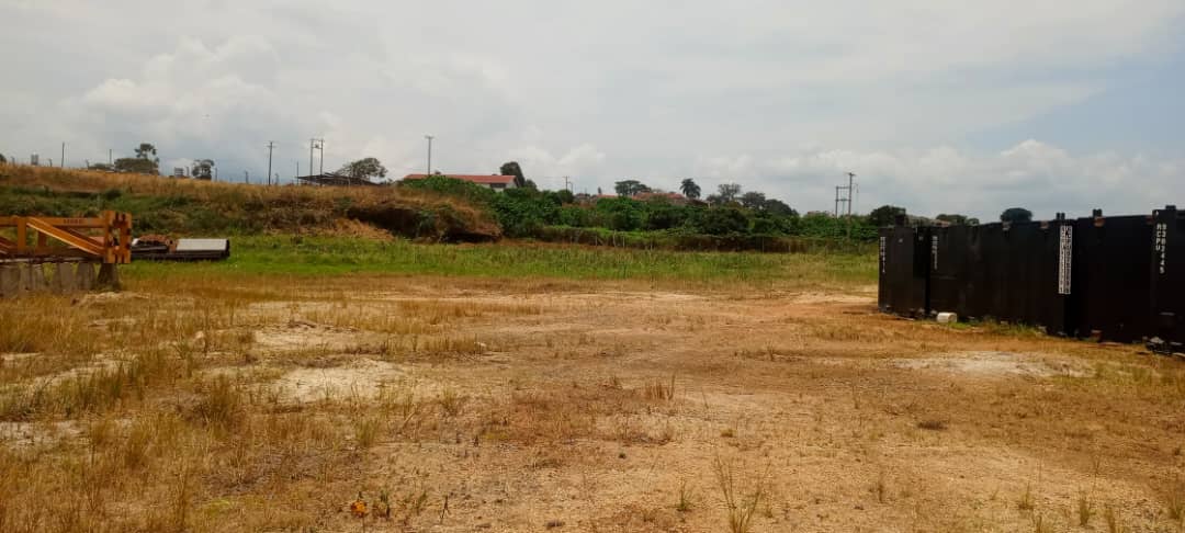 WhatsApp-Image-2026-03-12-at-1.03.23-PM