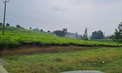 WhatsApp-Image-2026-03-12-at-1.16.50-PM