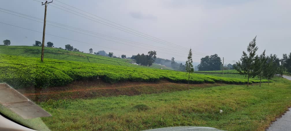 WhatsApp-Image-2026-03-12-at-1.16.50-PM