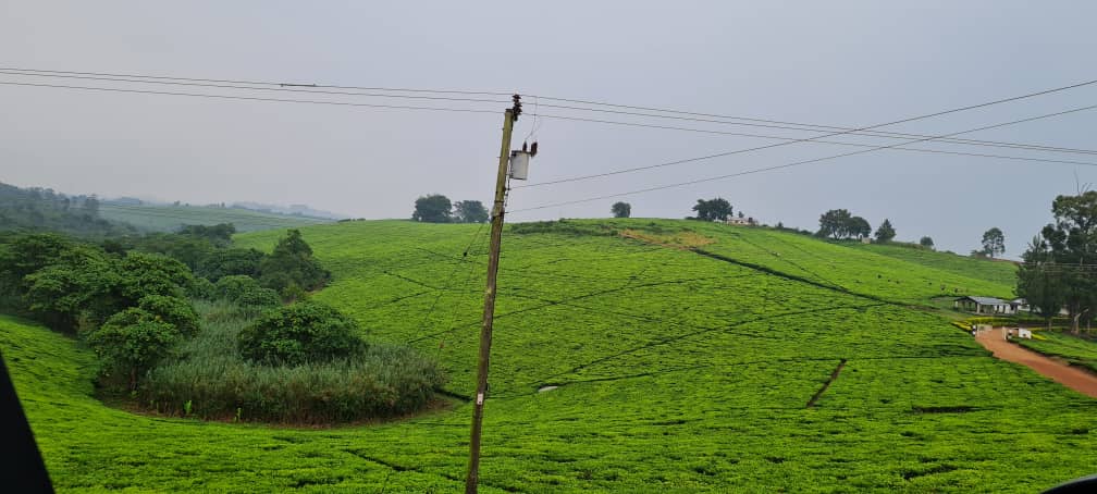 WhatsApp-Image-2026-03-12-at-1.17.06-PM