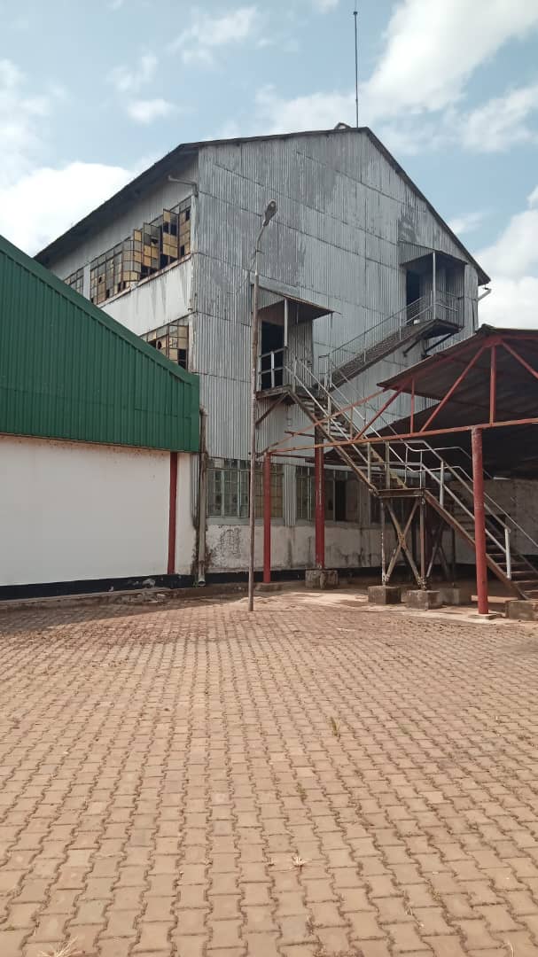 WhatsApp-Image-2026-03-12-at-1.17.21-PM